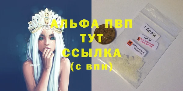 шишки Нея