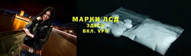 шишки Нея