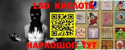 прущие грибы Дубна