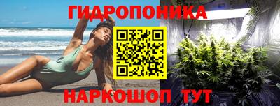 прущие грибы Дубна
