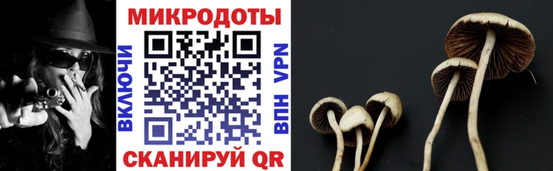 Псилоцибиновые грибы GOLDEN TEACHER  Кисловодск 