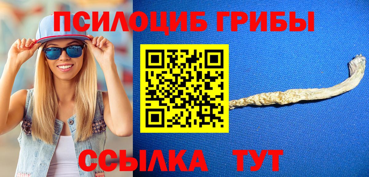купить наркотик  Галлюциногенные грибы ЛСД  Вход с VPN  Кисловодск  Галлюциногенные грибы прущие грибы 