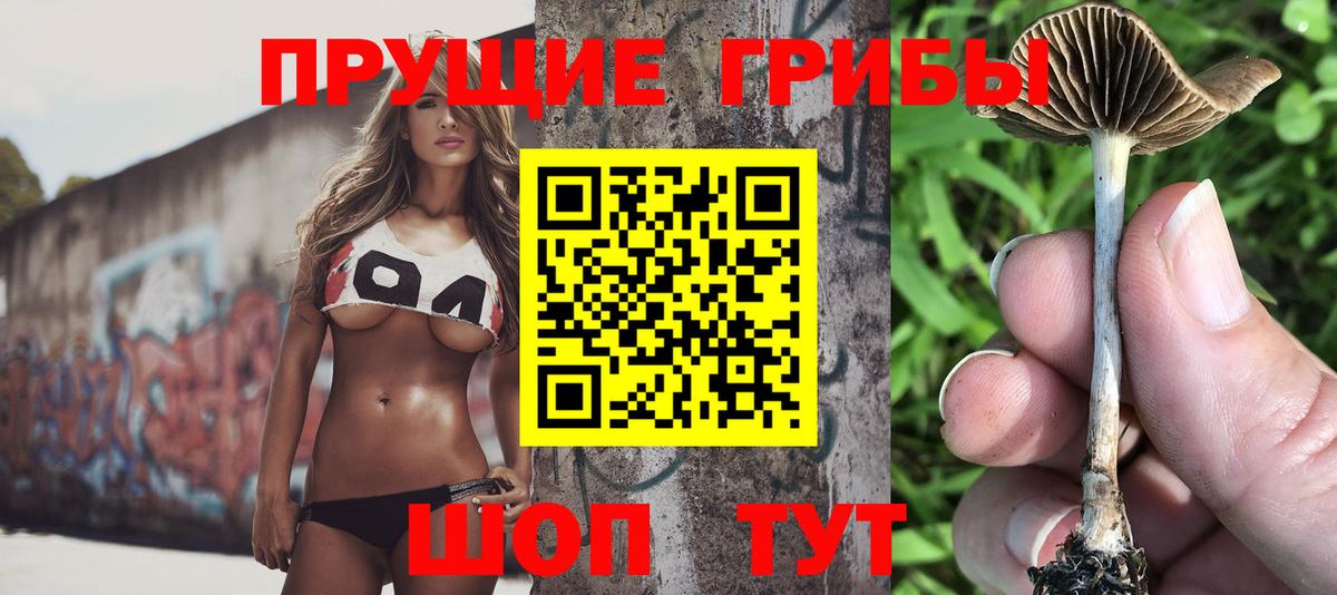 Галлюциногенные грибы Cubensis Кисловодск