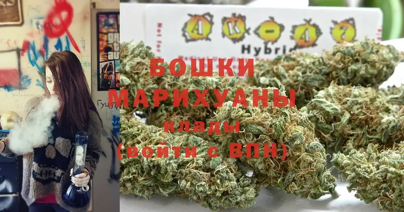 Шишки марихуана White Widow  что такое   Кисловодск 